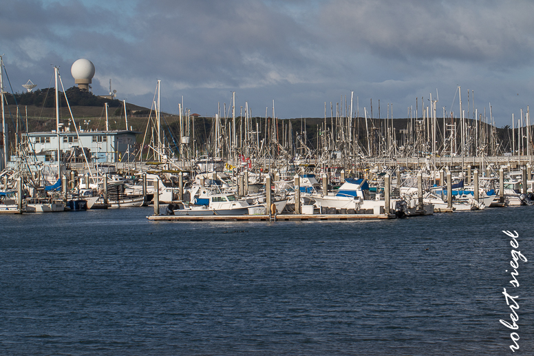 Coast BioBlitz 2025